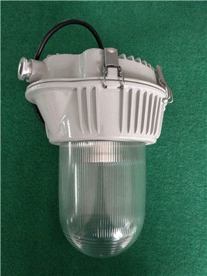 NF302防水防塵工廠燈 工業(yè)照明的堅實防線